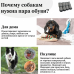 15050CN Сапожки "Неопрен" 15050CN Сапожки "Неопрен"